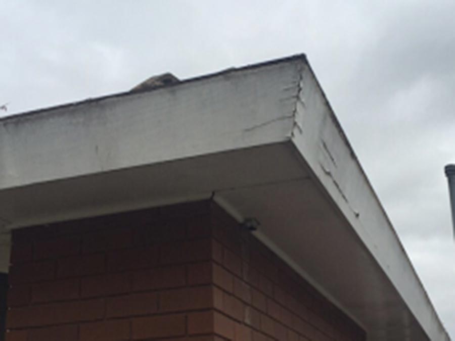 guttering before 2