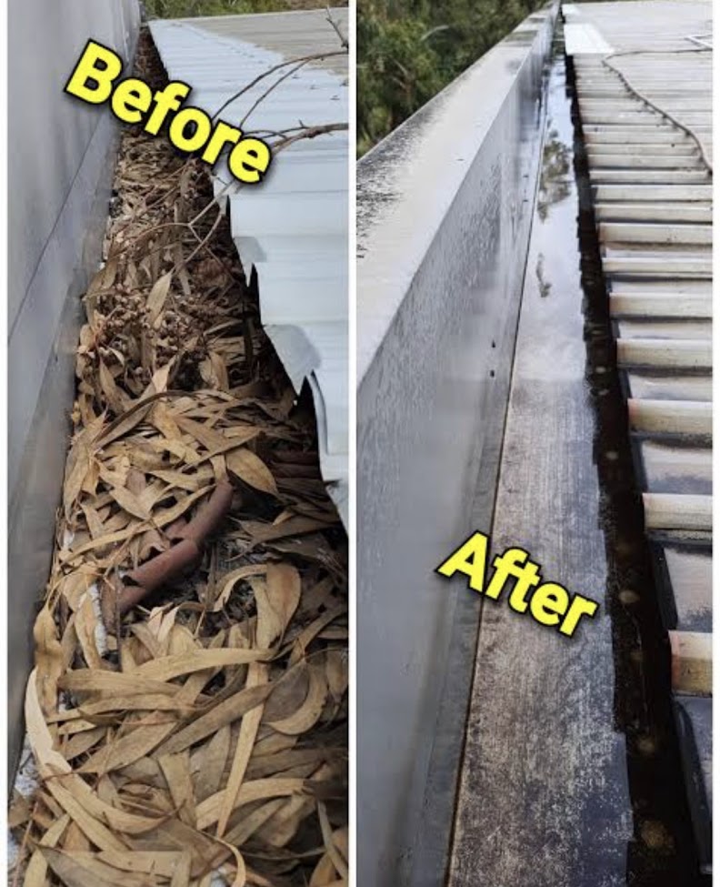 Before and After